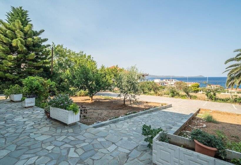 بنسيون Alta Vista Studios