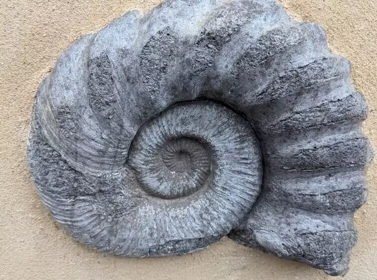 Majatalo Jurassic Bay Holidays