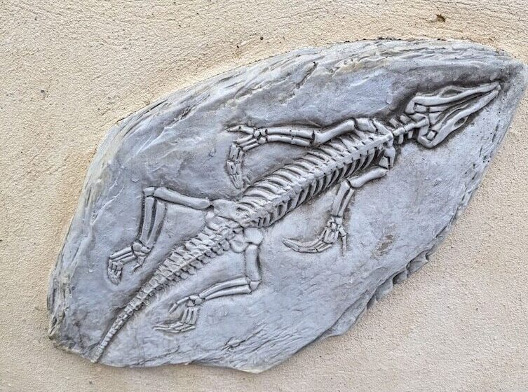 פנסיון Jurassic Bay Holidays