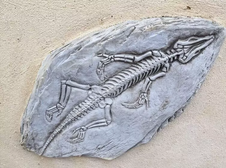 Majatalo Jurassic Bay Holidays