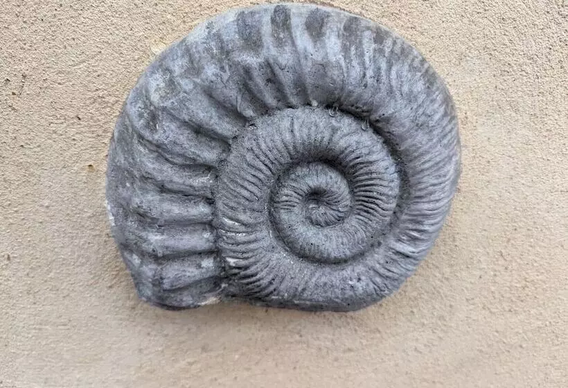 Majatalo Jurassic Bay Holidays