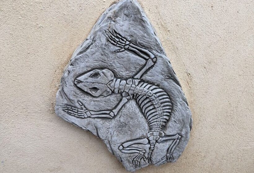 פנסיון Jurassic Bay Holidays