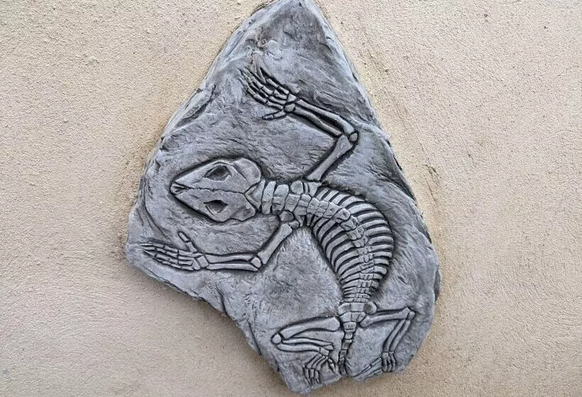 Majatalo Jurassic Bay Holidays