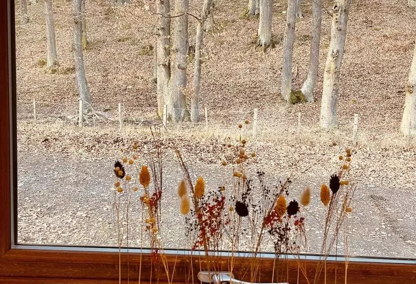 Stag S Hide