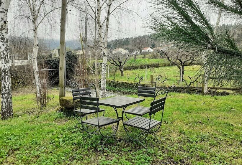 Coja Flores, Beautiful,river Beaches & Mountains