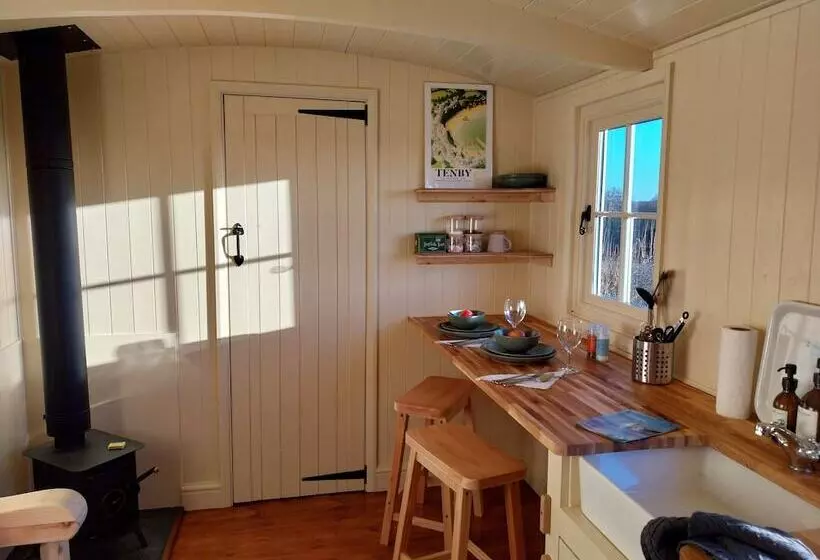 Cosy Shepherds Hut In Carmarthen