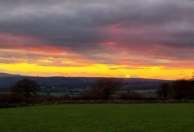 Cosy Shepherds Hut In Carmarthen