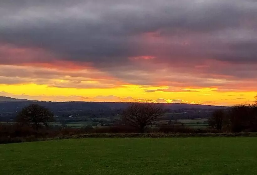 Cosy Shepherds Hut In Carmarthen