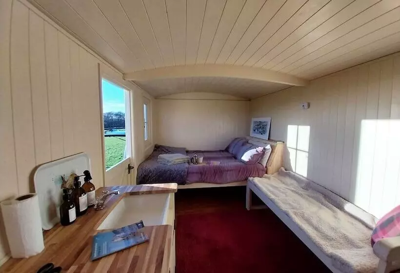 Cosy Shepherds Hut In Carmarthen