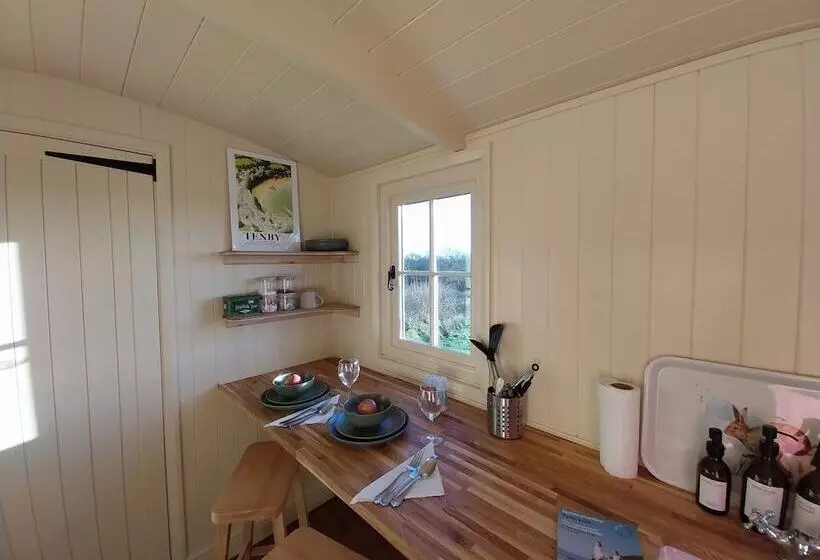 Cosy Shepherds Hut In Carmarthen