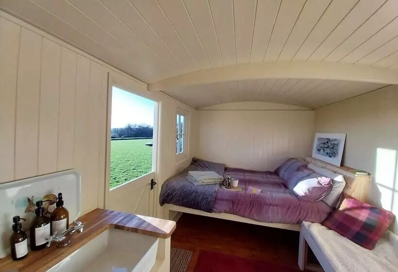 Cosy Shepherds Hut In Carmarthen
