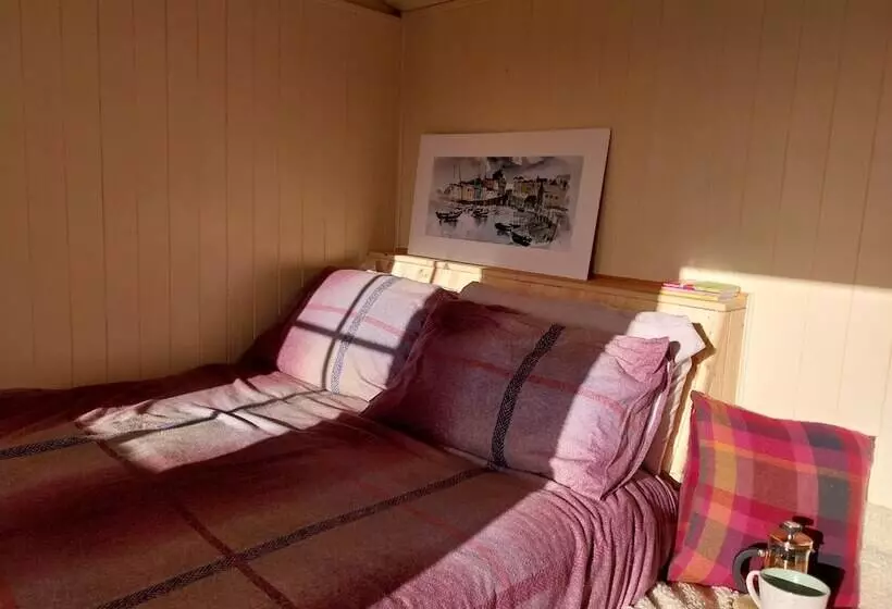 Cosy Shepherds Hut In Carmarthen
