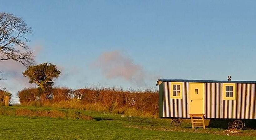 Cosy Shepherds Hut In Carmarthen