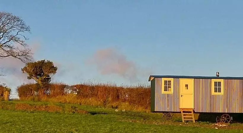 Cosy Shepherds Hut In Carmarthen
