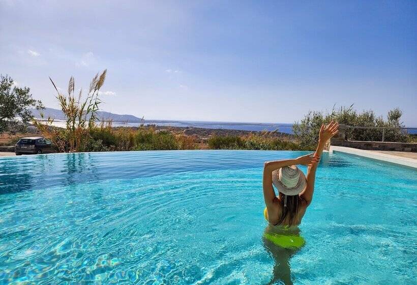 호텔 Anthemion Paros Villas & Suites