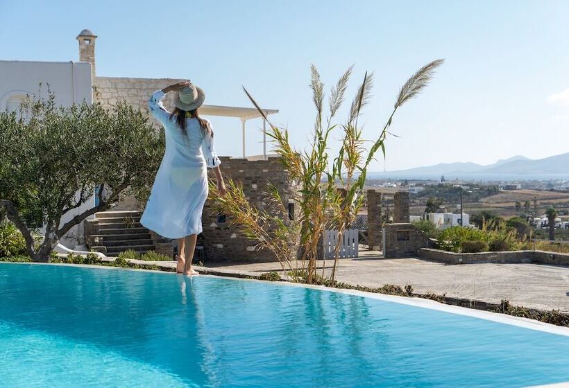 호텔 Anthemion Paros Villas & Suites