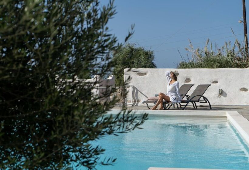 호텔 Anthemion Paros Villas & Suites