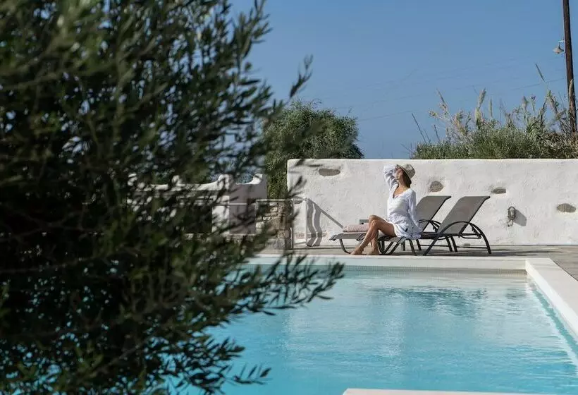 ホテル Anthemion Paros Villas & Suites