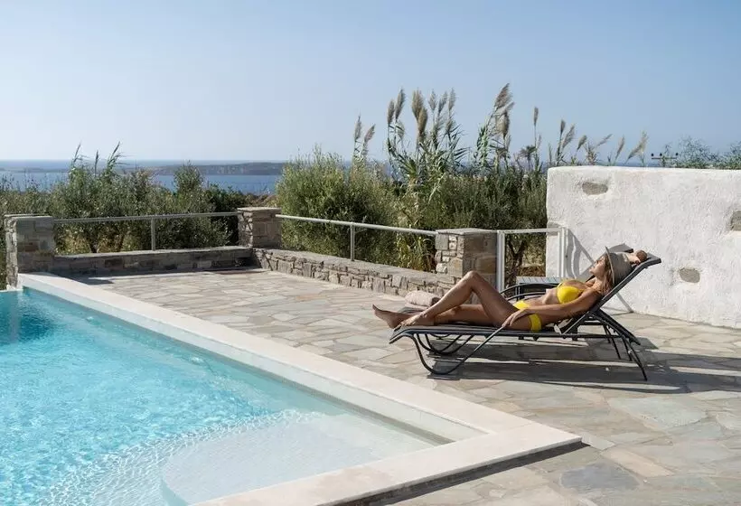 ホテル Anthemion Paros Villas & Suites