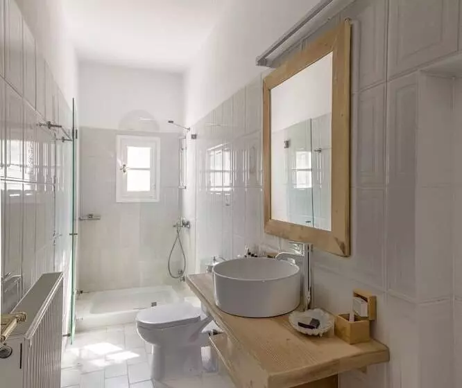 ホテル Anthemion Paros Villas & Suites