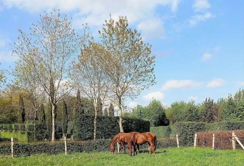 Hotelli Domaine Du Bosc Roger