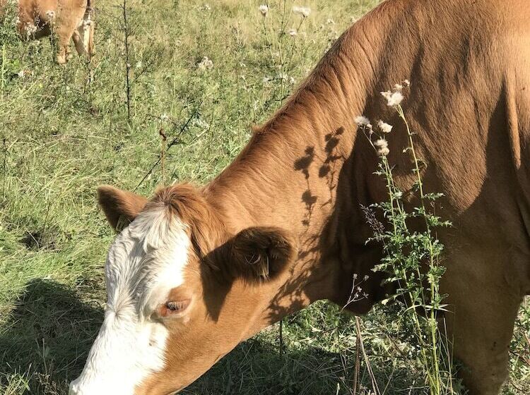 Hotelli Spießberghaus