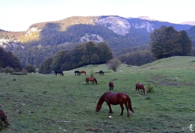 Majatalo Nirvana Experience Bed And Breakfast