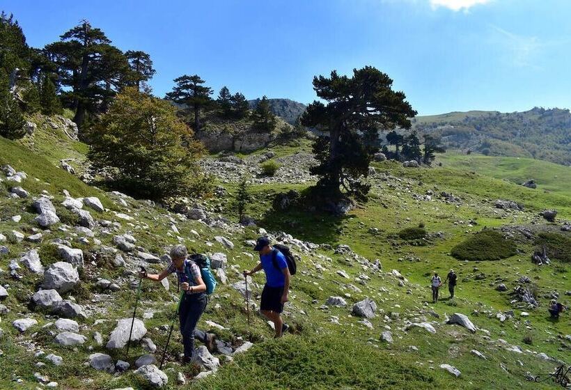 펜션 Nirvana Experience Bed And Breakfast