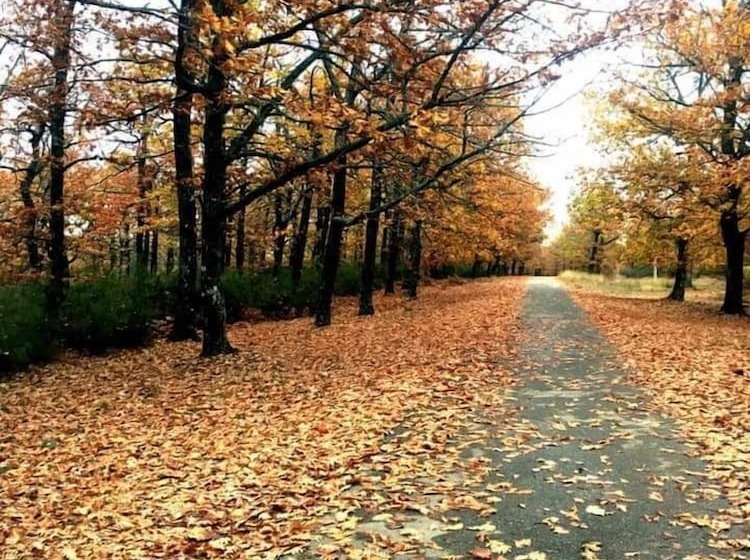 Pensjonat Nirvana Experience Bed And Breakfast