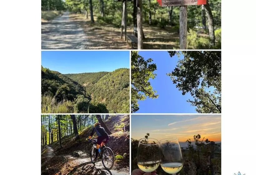 Majatalo Nirvana Experience Bed And Breakfast