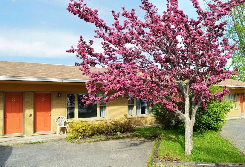 Condo & Motel Des Berges