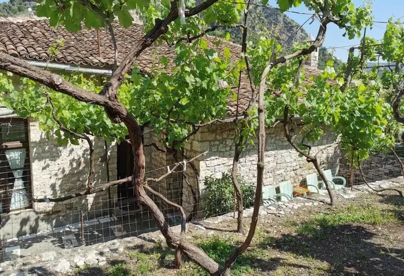 Guesthouse & Hostel Lorenc