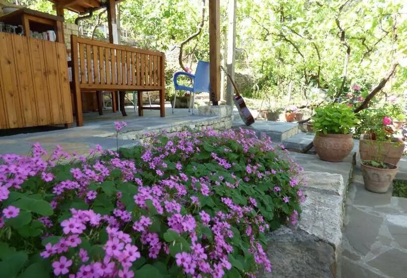 Guesthouse & Hostel Lorenc