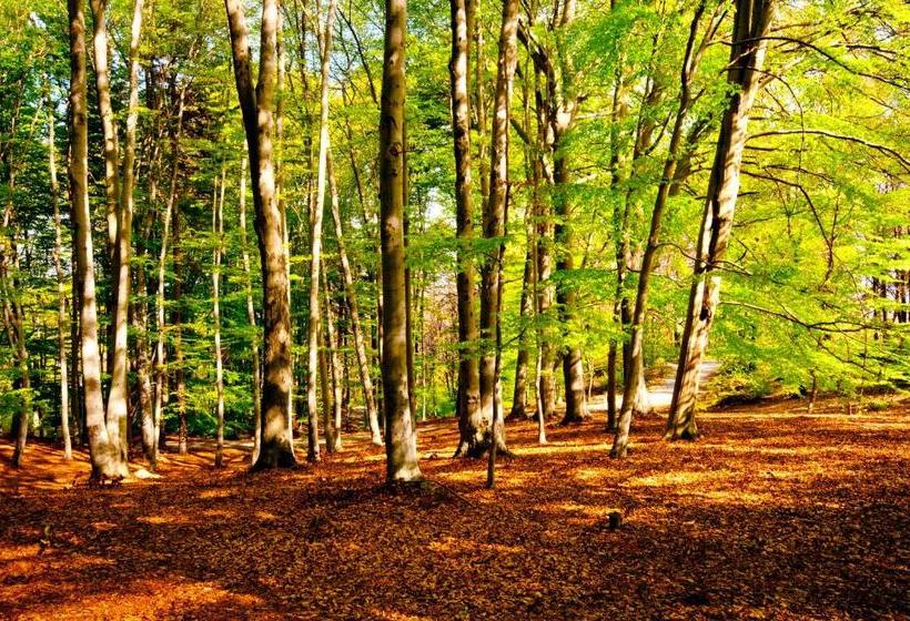 هتل Agriturismo Monterosso