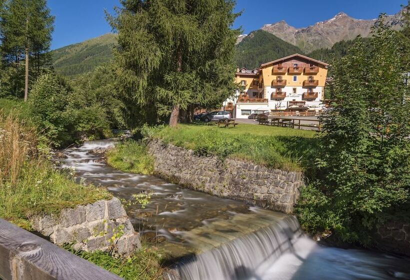 Отель Alpino Wellness & Spa