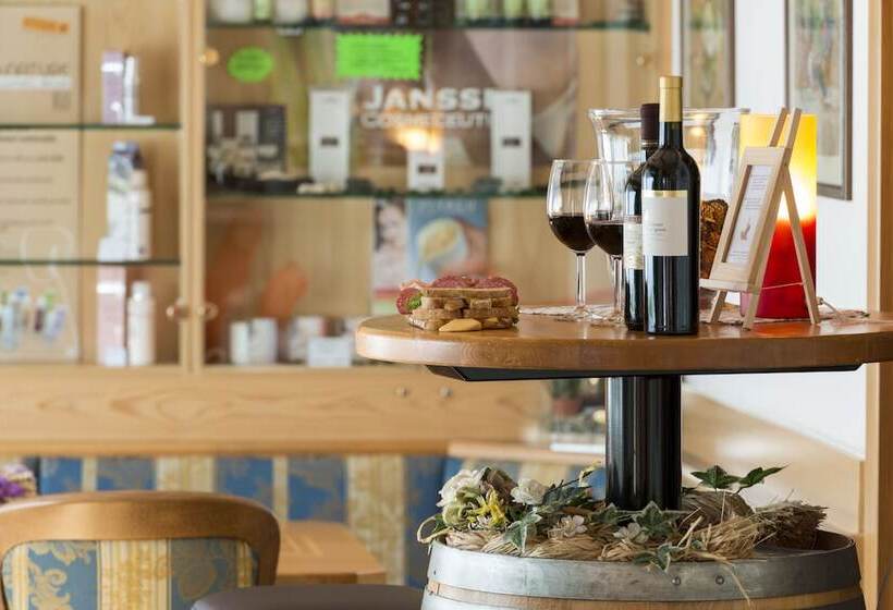 Отель Alpino Wellness & Spa