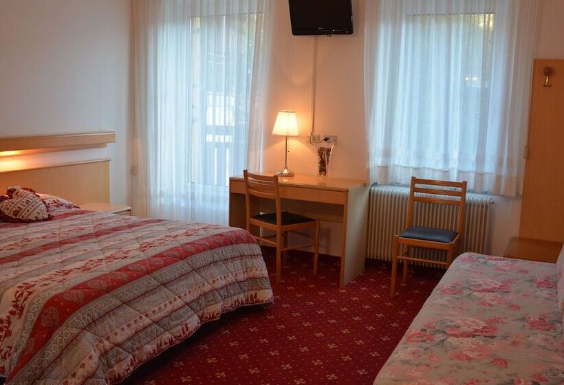 Отель Alpino Wellness & Spa