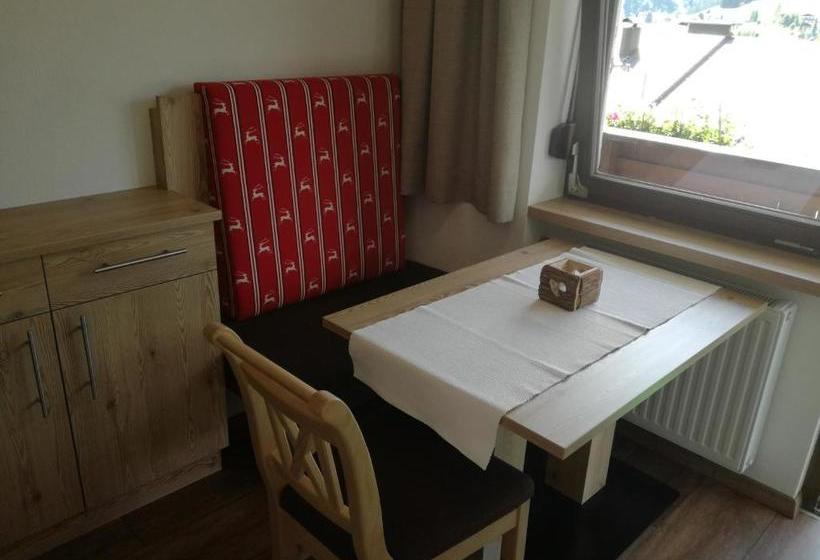 Отель Appartements Birkenhof