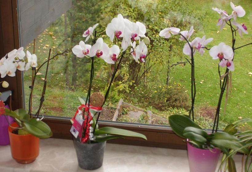 Отель Appartements Birkenhof