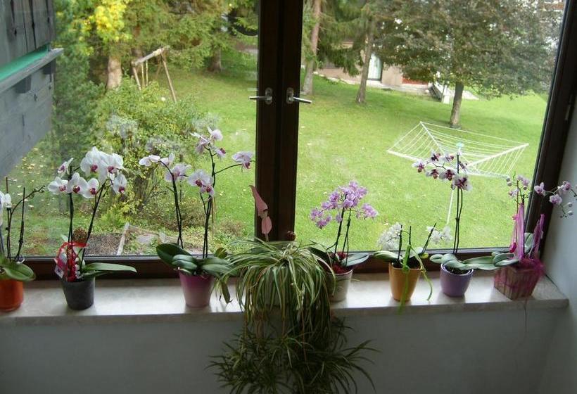 Отель Appartements Birkenhof