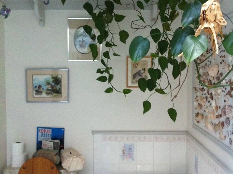 هتل Calla S Palace