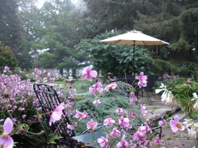 בית מלון כפרי Historic Lyons House