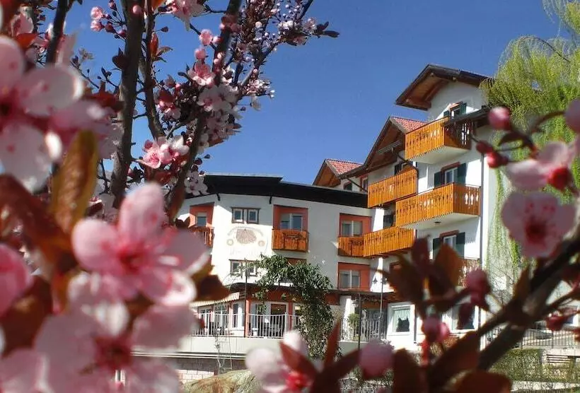 La Montanina Hotel In Val Di Non