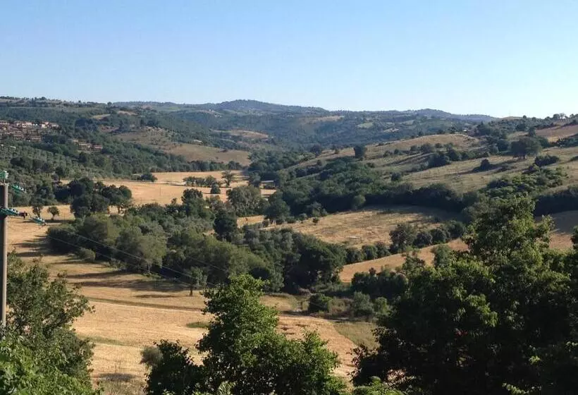 Hotelli Le Tartarughe Rooms