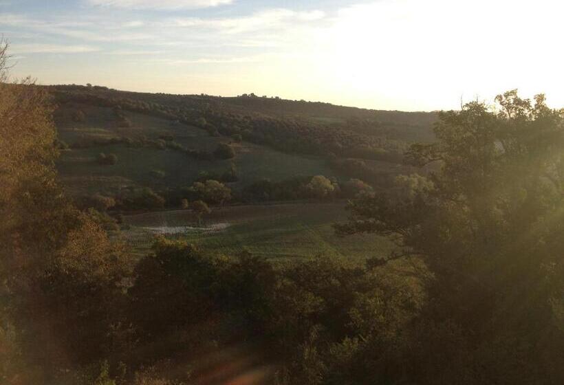 בית מלון כפרי Le Tartarughe Rooms