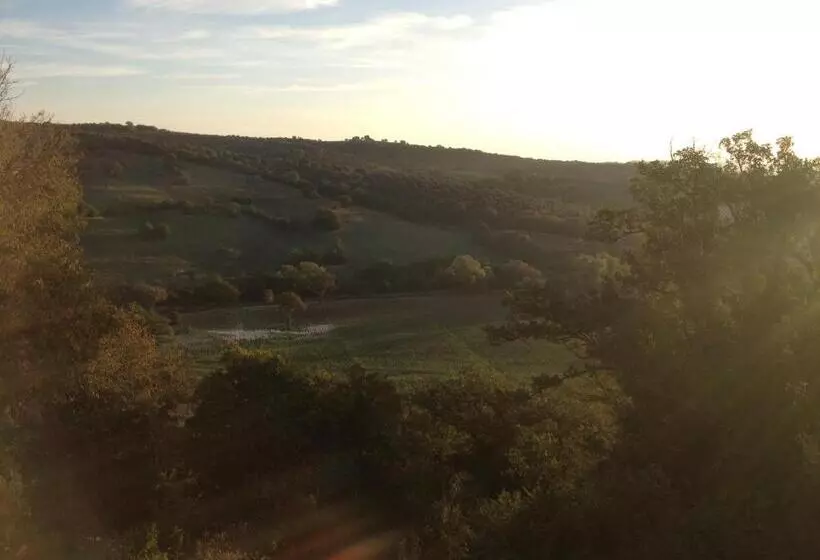 Hotelli Le Tartarughe Rooms