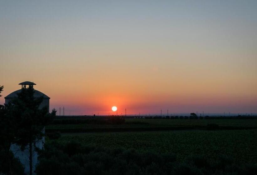 호텔 Masseria Mazzetta Salento Corte Del Falconiere B&b