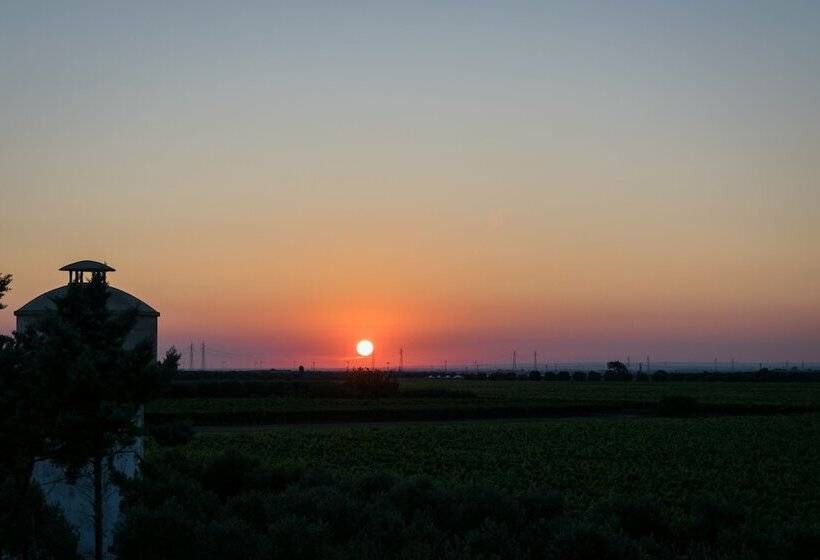 호텔 Masseria Mazzetta Salento Corte Del Falconiere B&b