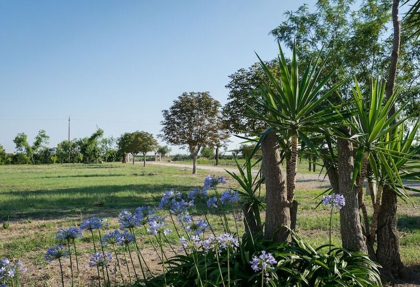 호텔 Masseria Mazzetta Salento Corte Del Falconiere B&b