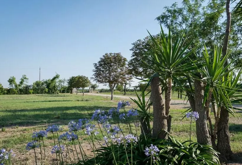 Hotelli Masseria Mazzetta Salento Corte Del Falconiere B&b